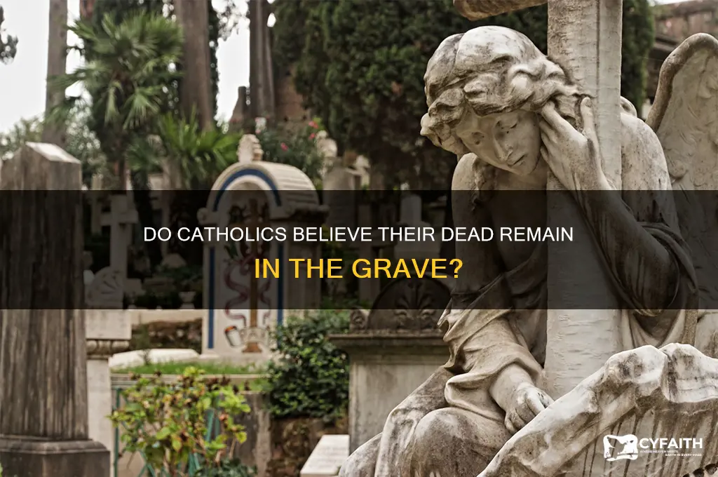 do catholics belive their dead are still in the grave