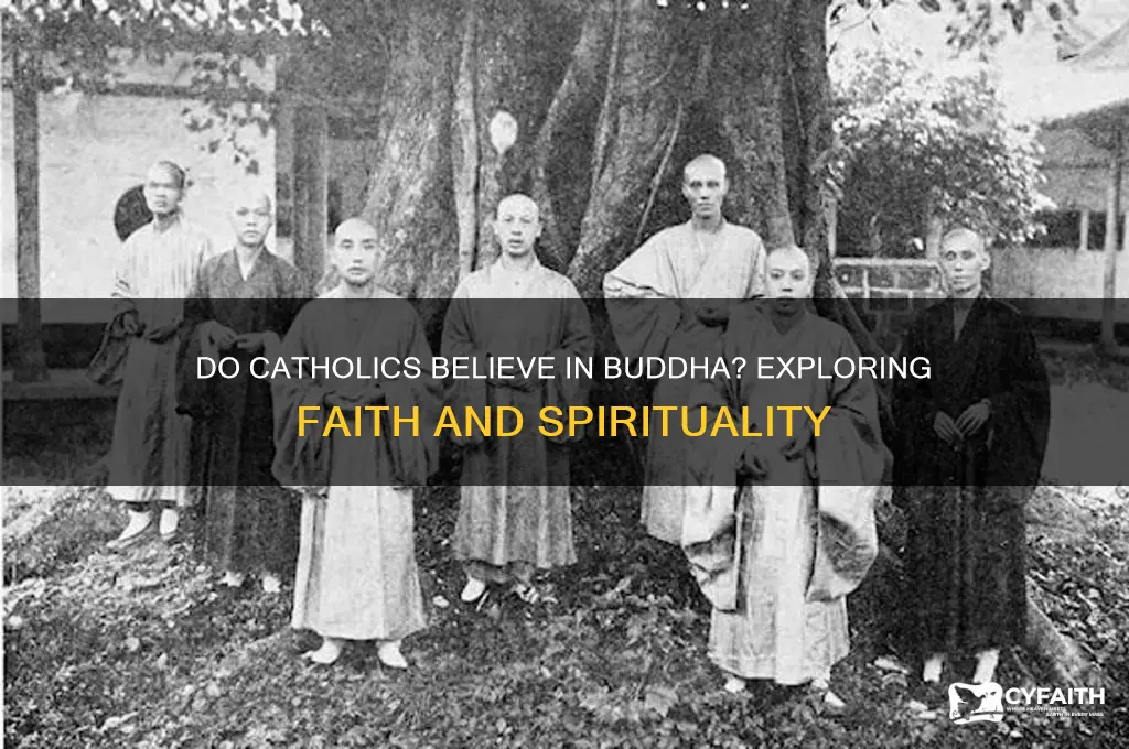 do catholics beveive in buddha