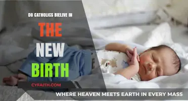 The New Birth: Catholic Beliefs Explored
