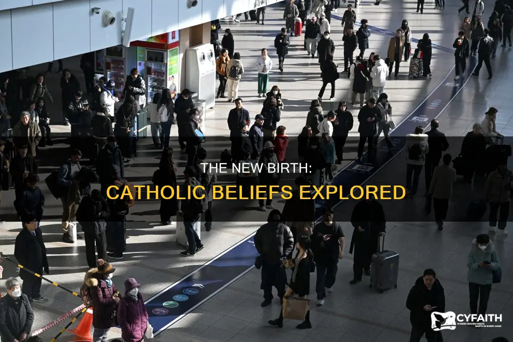 do catholics bielive in the new birth