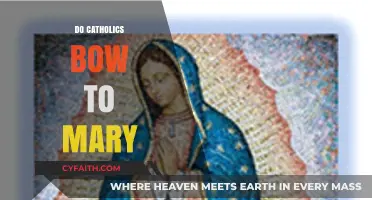 Do Catholics Bow to Mary? Understanding Marian Veneration in Catholicism