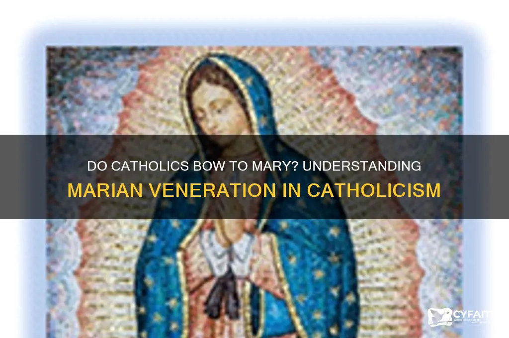 do catholics bow to mary