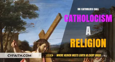 Catholicism: Religion or Way of Life?