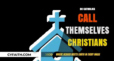 Are Catholics Christians? Exploring Faith Identity and Common Misconceptions