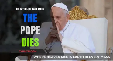 Catholics and the Pope: Grieving and Moving Forward