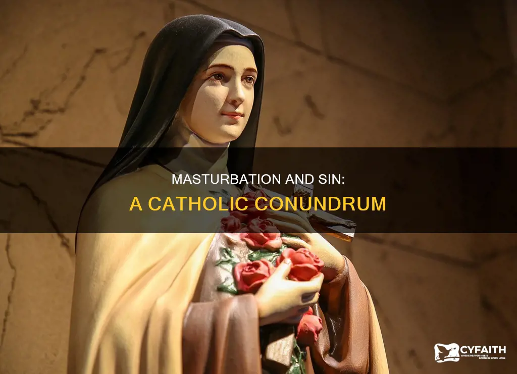 do catholics consider masterbation a sin
