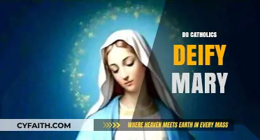 Do Catholics Deify Mary? Exploring the Role of the Virgin Mary