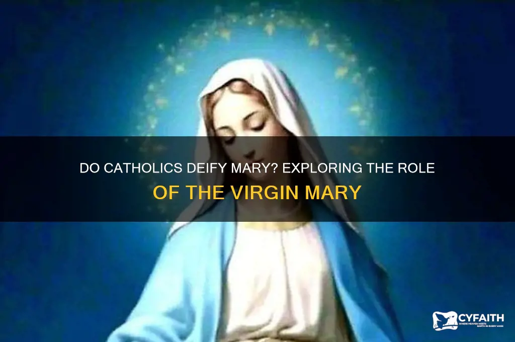 do catholics deify mary