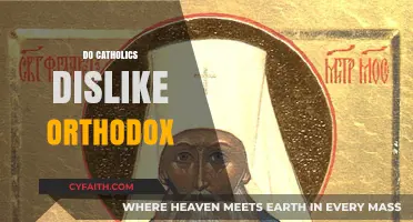 Do Catholics Dislike Orthodox Christians? Exploring Historical and Modern Relations