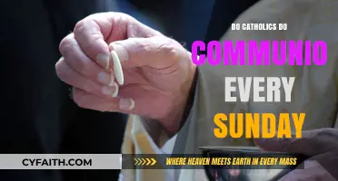 Communion in Catholic Mass: Weekly or Occasional?