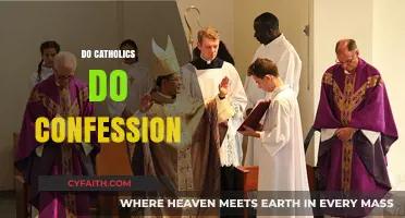 Understanding Catholic Confession: Practices, Purpose, and Personal Reflection