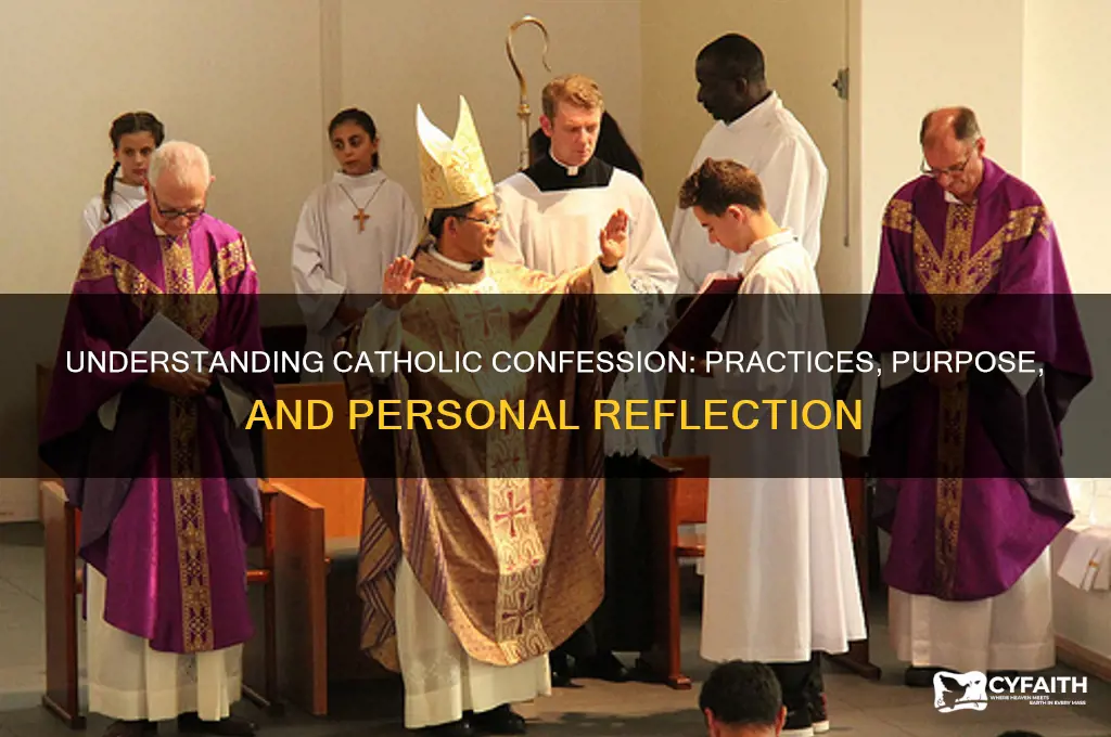 do catholics do confession