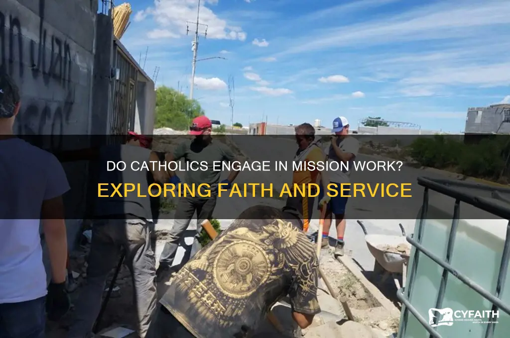 do catholics do mission work
