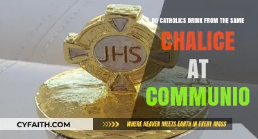 Sharing the Chalice: Catholic Communion Practices Explained