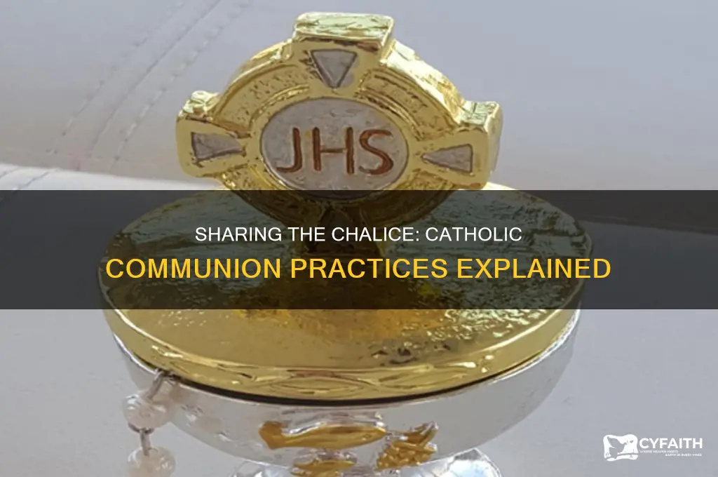 do catholics drink from the same chalice at communion