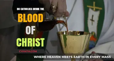 Christ's Blood: Catholic Communion Explained