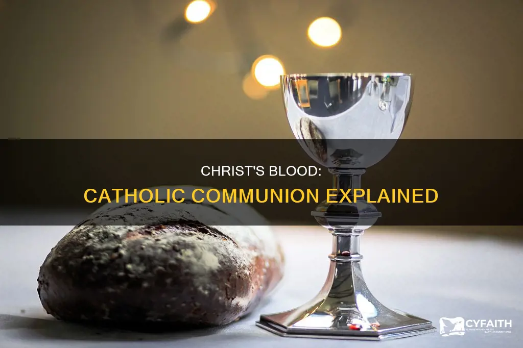 do catholics drink the blood of christ