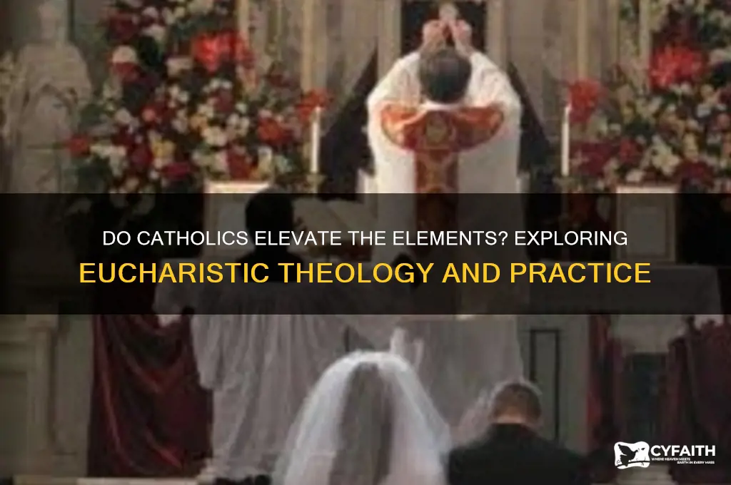 do catholics elevate the elements