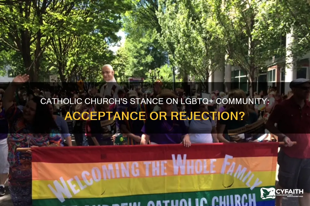 do catholics endorse gays