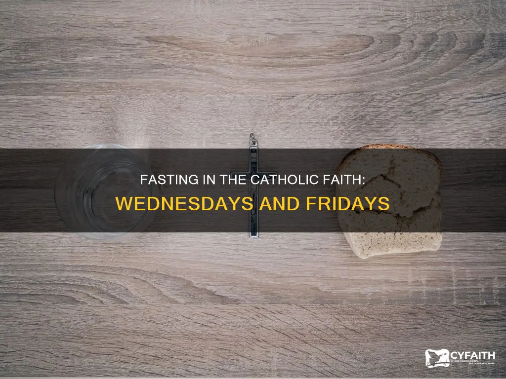 do catholics fast every wednesday and friday