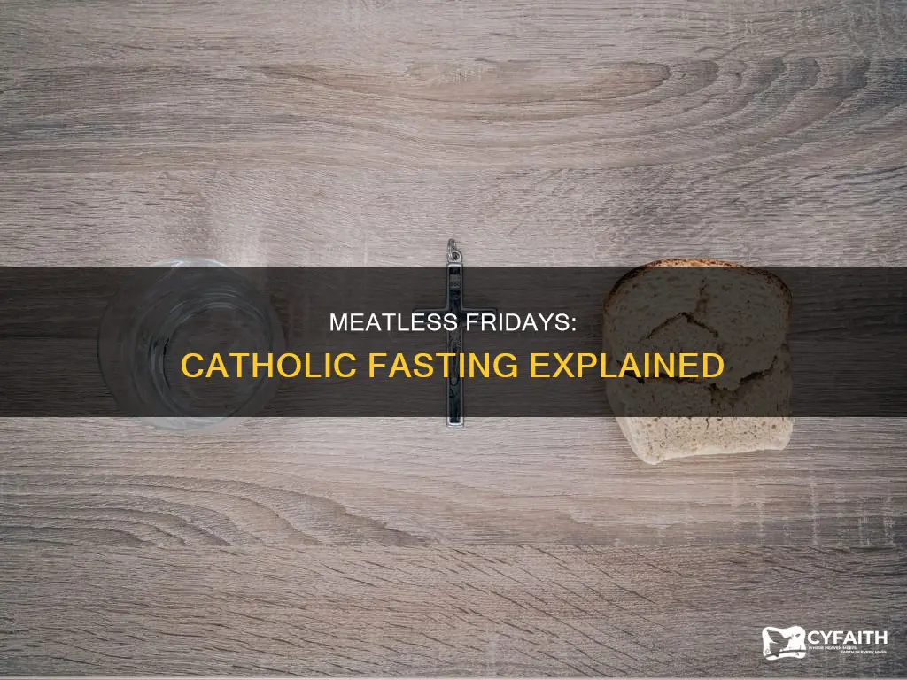 do catholics fast from meat every friday
