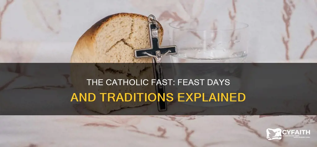 do catholics fast on feast days