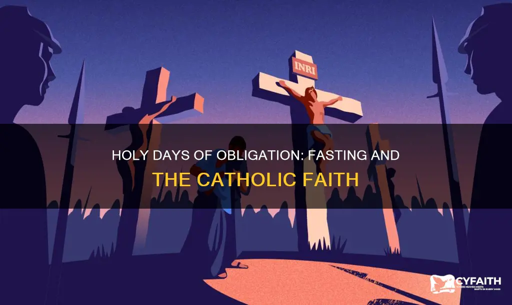 do catholics fast on holy days of obligation