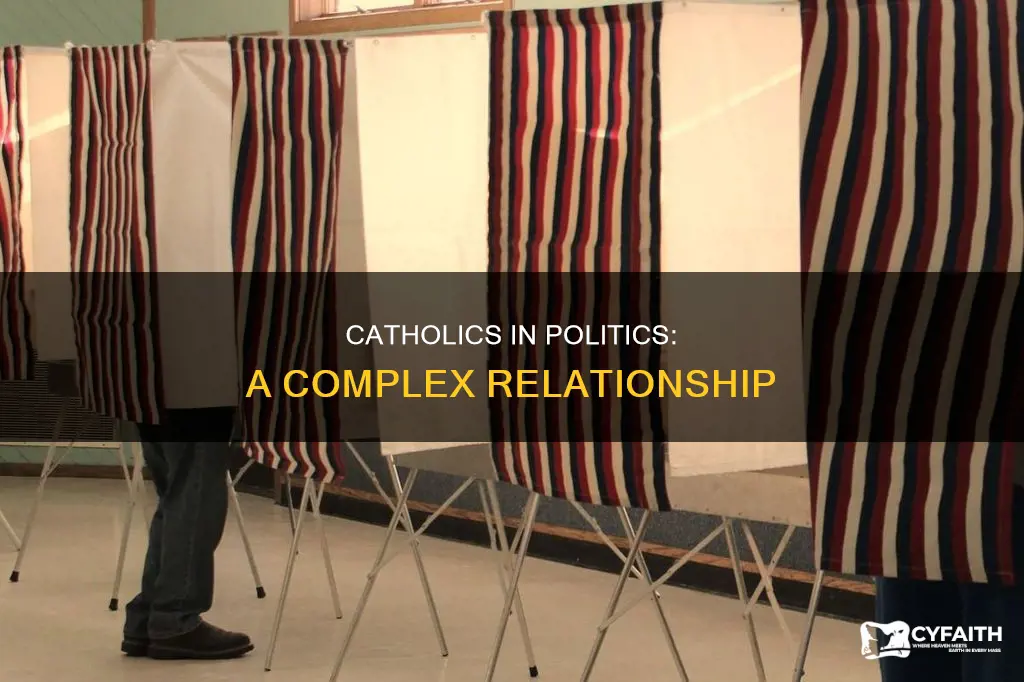 do catholics get involved with politics