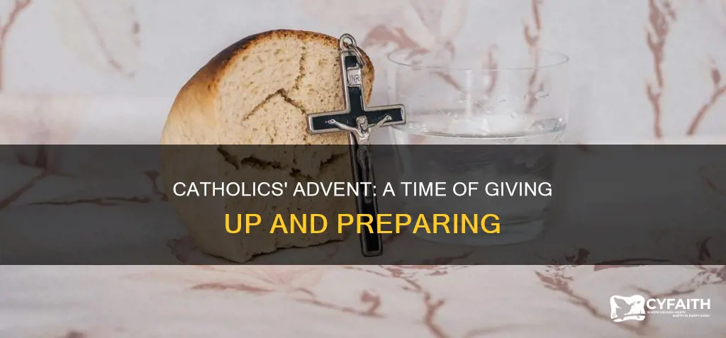 do catholics give something up for advent