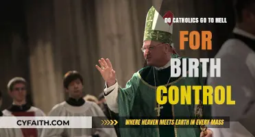 Birth Control and Catholicism: Hell or Contraception?