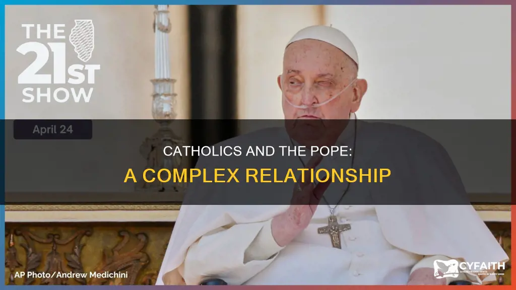 do catholics hate the current pope