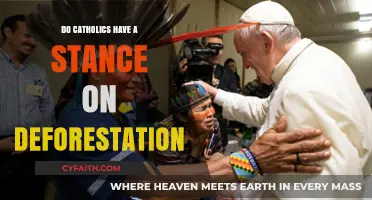 Catholics' Stance on Deforestation: Preserving God's Creation