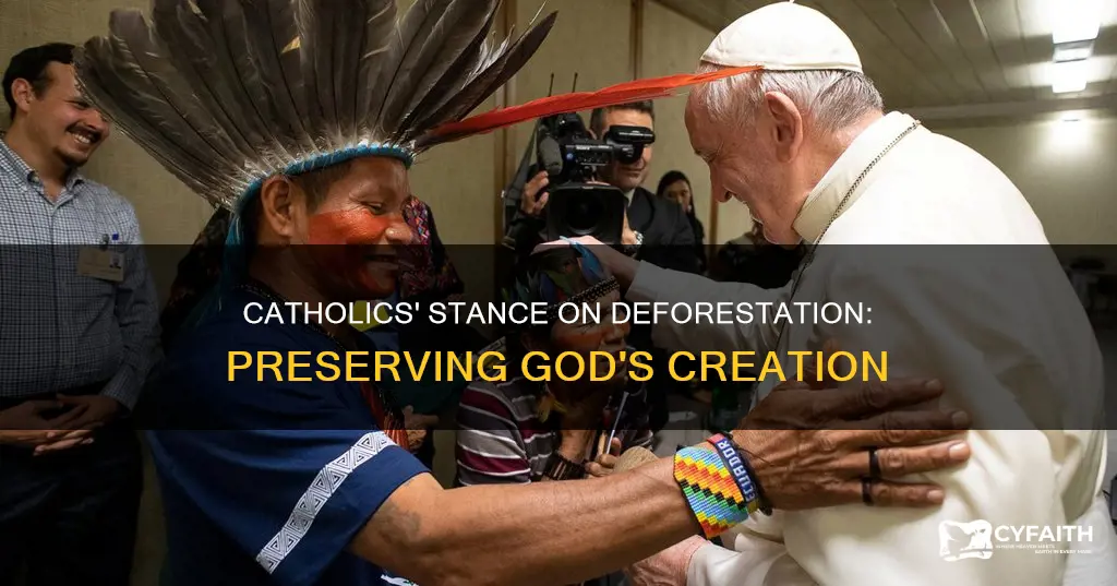 do catholics have a stance on deforestation