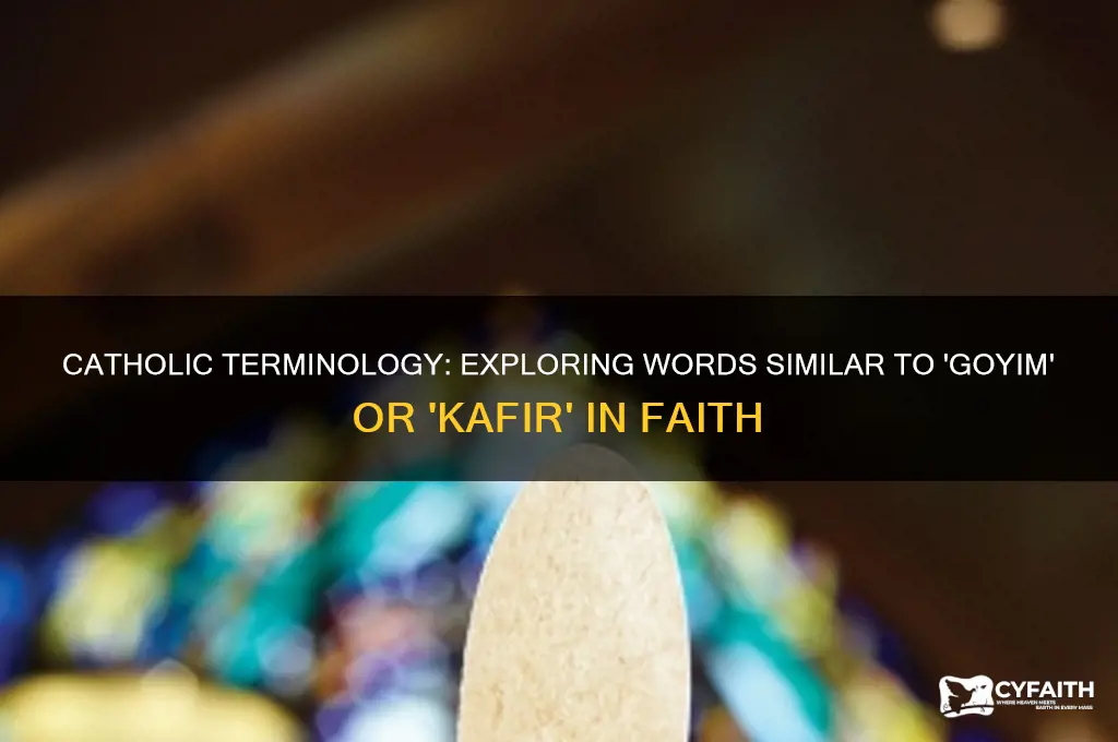 do catholics have a word similiar to goyum or kafir