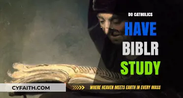 Exploring Catholic Bible Study Practices and Traditions in Faith