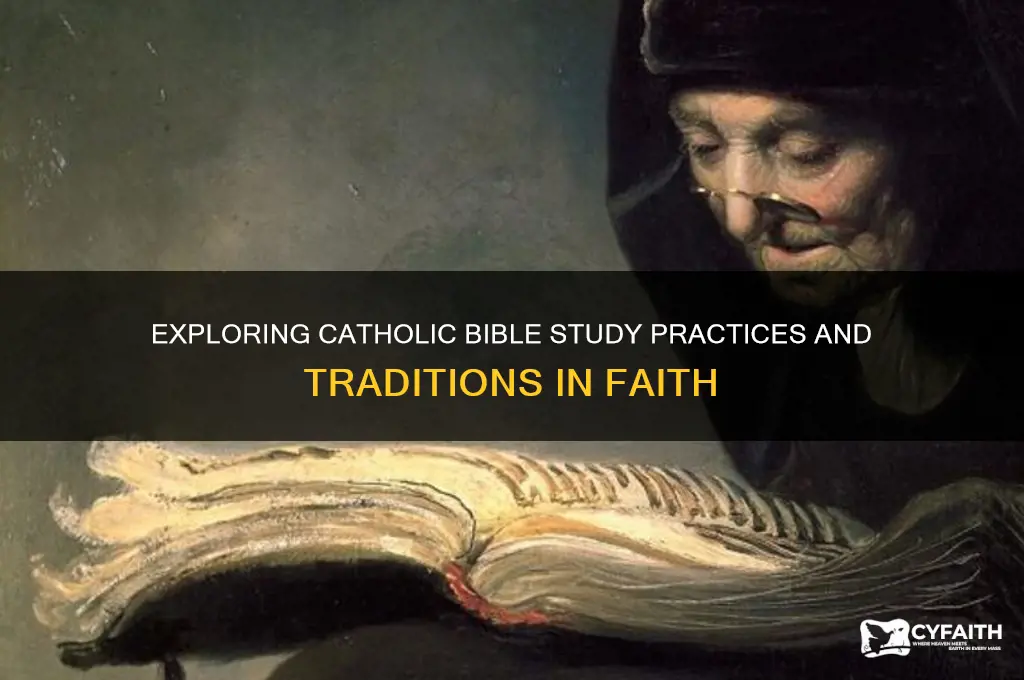 do catholics have biblr study