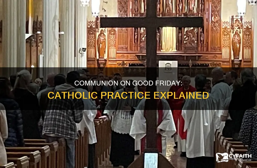 do catholics have communion on good friday