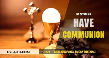 Understanding the Catholic Practice of Receiving Holy Communion