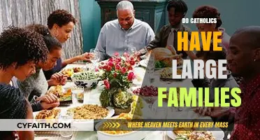 Exploring the Tradition of Large Families in Catholic Communities