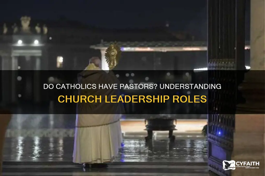 do catholics have paators