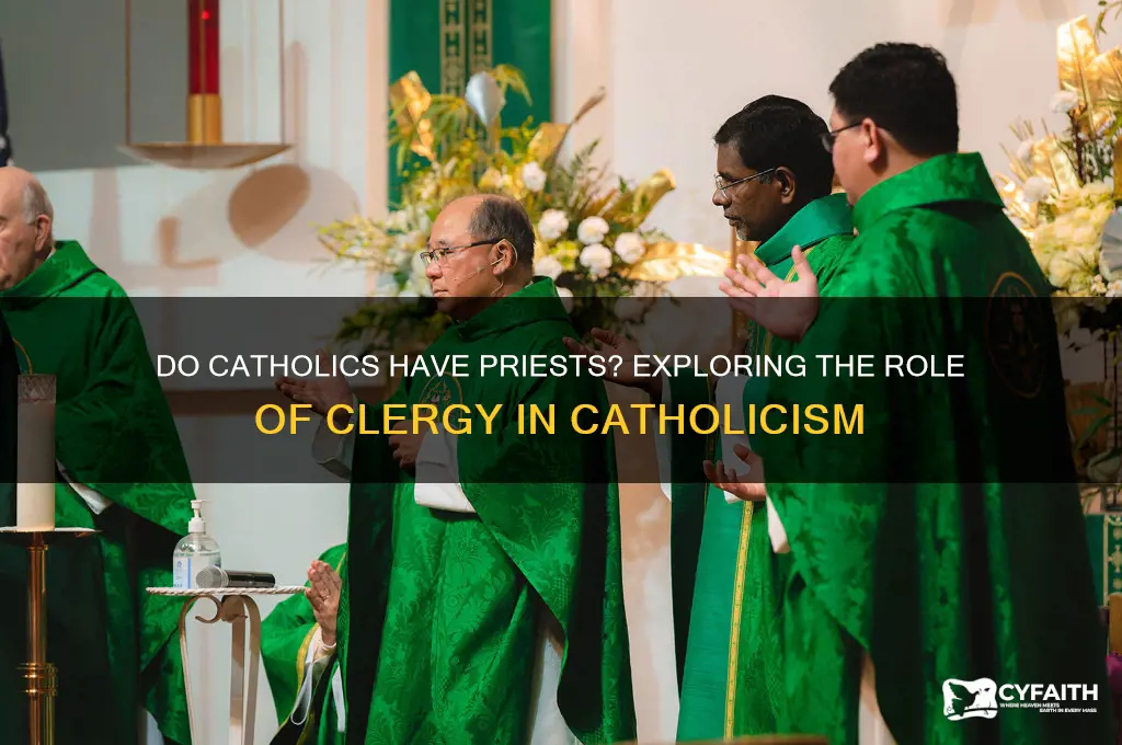 do catholics have preist