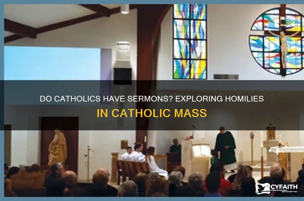 do catholics have sermons