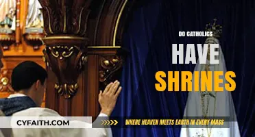 Exploring Catholic Devotion: The Role and Meaning of Shrines