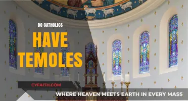 Do Catholics Have Temples? Exploring Catholic Places of Worship