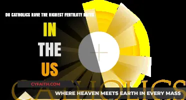 Do Catholics Lead US Fertility Rates? Exploring Religious Demographics