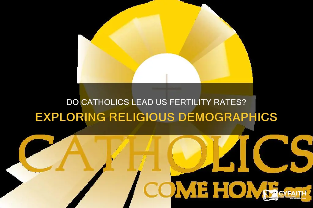 do catholics have the highest fertiloty rates in the us