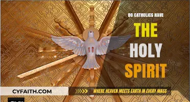 Holy Spirit and Catholics: Who Has It?