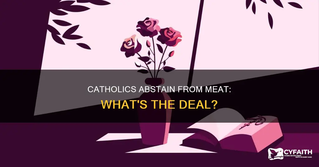do catholics have to abstain from meat