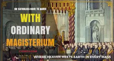 Understanding the Ordinary Magisterium as a Catholic