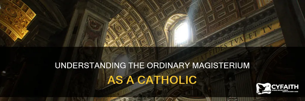 do catholics have to agree with ordinary magisterium
